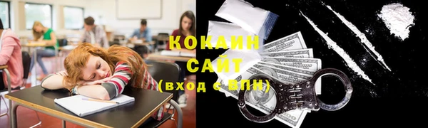 гидра Пересвет