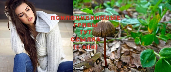 гидра Пересвет