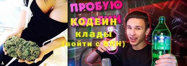 гидра Пересвет
